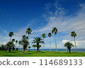熱帶風情、棕櫚樹、藍天和雲彩 114689133