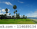 熱帶風情、棕櫚樹、藍天和雲彩 114689134