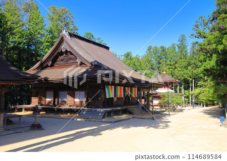 [和歌山縣]晴天時高野山壇上伽藍的大雄寶殿和東塔 114689584