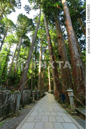 [和歌山縣] 高野山奧之院的參道 114689605