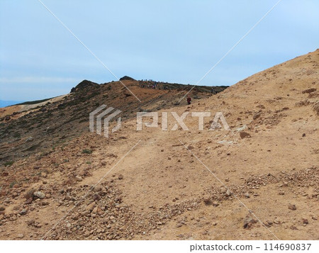 Adachi-tama Adachi-tama 114690837