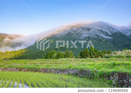 Wind Promotion Wind Promotion 114690998