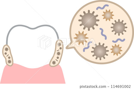 dental biofilm dental biofilm 114691002