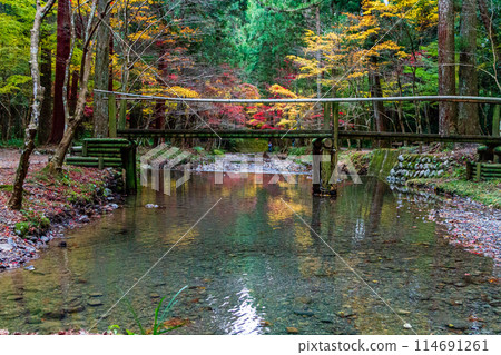 靜岡縣守知郡森町一宮市 奧國神社及其轄區 靜岡縣守知郡森町一宮市 奧國神社及其轄區 114691261