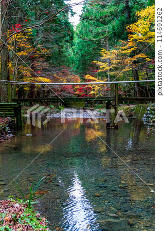 靜岡縣守知郡森町一宮市 奧國神社及其轄區 114691262