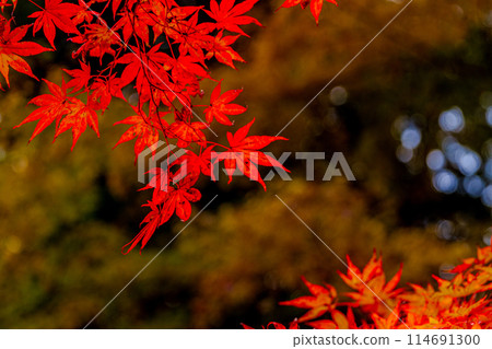 Muramatsu, Fukuroi City, Shizuoka Prefecture - Yusanji Temple and its grounds 114691300