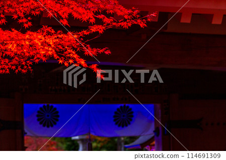 Muramatsu, Fukuroi City, Shizuoka Prefecture - Yusanji Temple and its grounds 114691309