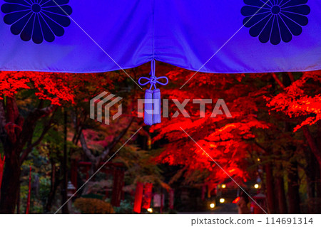 Muramatsu, Fukuroi City, Shizuoka Prefecture - Yusanji Temple and its grounds 114691314