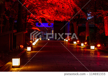 靜岡縣袋井市村松、雄山寺及院內風景 靜岡縣袋井市村松、雄山寺及院內風景 114691333