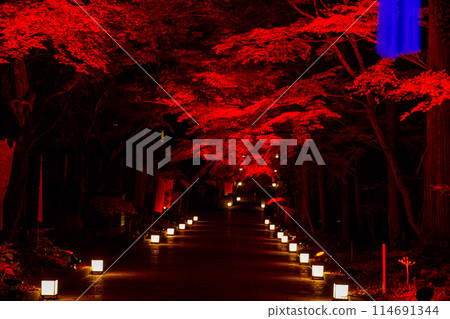 Muramatsu, Fukuroi City, Shizuoka Prefecture - Yusanji Temple and its grounds Muramatsu, Fukuroi City, Shizuoka Prefecture - Yusanji Temple and its grounds 114691344