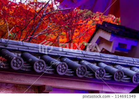 Muramatsu, Fukuroi City, Shizuoka Prefecture - Yusanji Temple and its grounds 114691349
