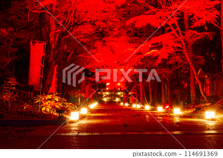 靜岡縣袋井市村松、雄山寺及院內風景 靜岡縣袋井市村松、雄山寺及院內風景 114691369