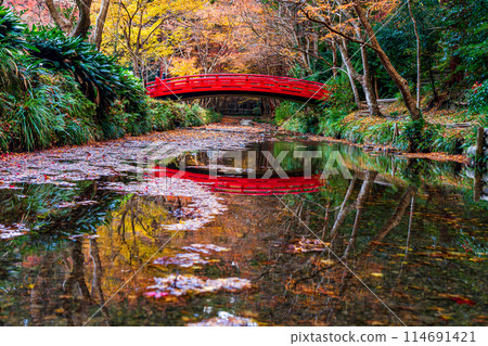 靜岡縣守知郡森町一宮市 奧國神社及其轄區 靜岡縣守知郡森町一宮市 奧國神社及其轄區 114691421