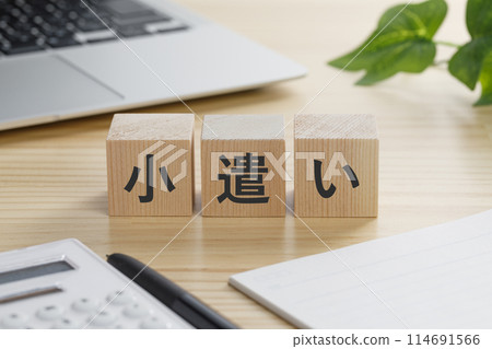 A building block with the words "Pocket Money" written on it 114691566