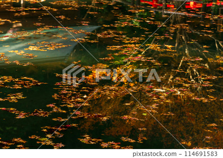 靜岡縣守知郡森町一宮市 奧國神社及其轄區 114691583