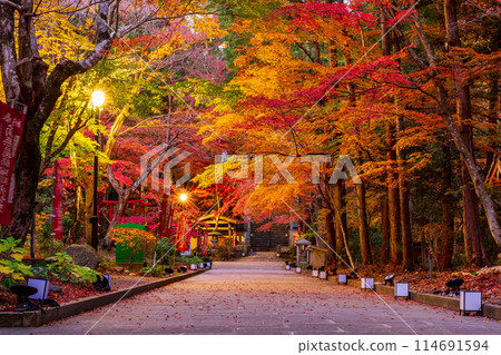 靜岡縣袋井市村松、雄山寺及院內風景 靜岡縣袋井市村松、雄山寺及院內風景 114691594