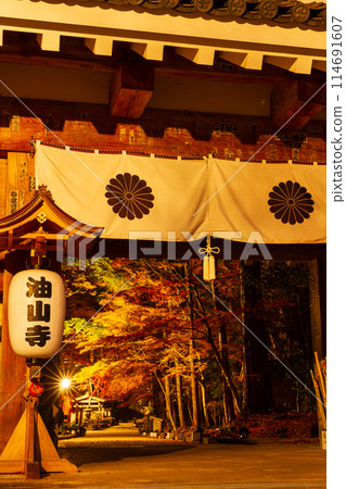 Muramatsu, Fukuroi City, Shizuoka Prefecture - Yusanji Temple and its grounds 114691607