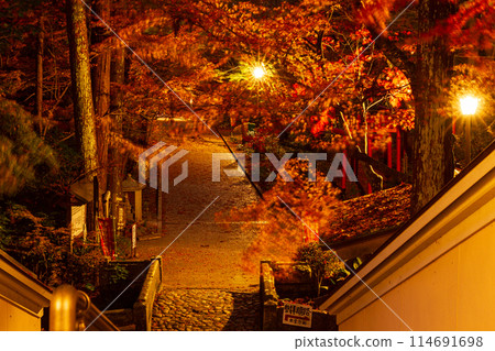 Muramatsu, Fukuroi City, Shizuoka Prefecture - Yusanji Temple and its grounds 114691698