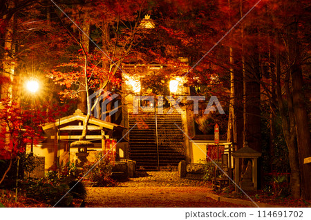 靜岡縣袋井市村松、雄山寺及院內風景 114691702