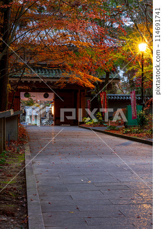 靜岡縣袋井市村松、雄山寺及院內風景 靜岡縣袋井市村松、雄山寺及院內風景 114691741