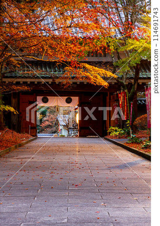 靜岡縣袋井市村松、雄山寺及院內風景 靜岡縣袋井市村松、雄山寺及院內風景 114691743