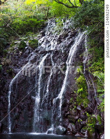 Narrow waterfall Narrow waterfall 114692249