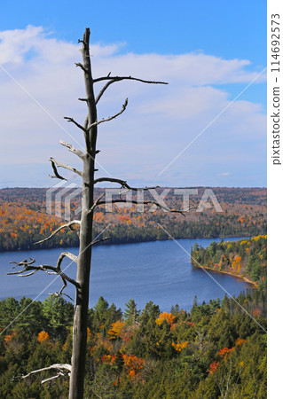 View of Rock Lake in Algonquin Park, Ontario, Canada 114692573
