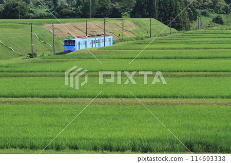 夏季火車 夏季火車 114693338