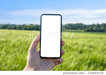phone, hand, field 114693539