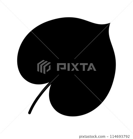 Tinospora crispa leaf isolated on white background. Tinospora crispa leaf isolated on white background. 114693792