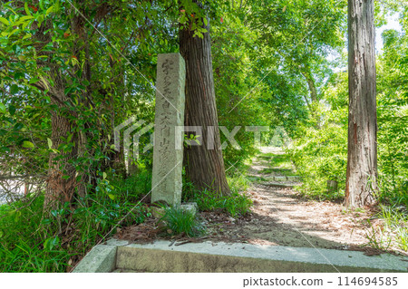 京都市右京區59代宇多天皇大內山陵墓的石柱 114694585