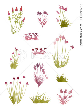 Wildflowers and grass. Watercolor plants, great design for any purpose. Decorative botanical set. Abstract floral silhouettes. Summer nature clipart. Simple sketch drawing 114694733