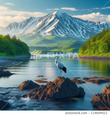白鳥和燒岳預示著春天的到來 114694821