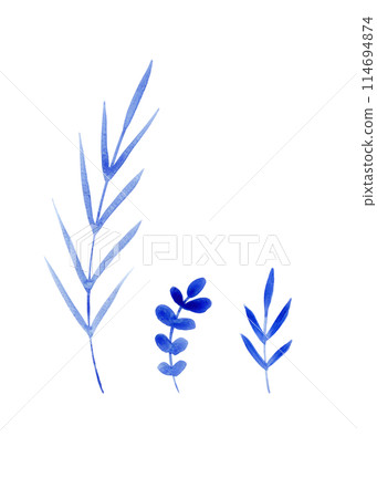 Herbaceous plant. Watercolor twigs, great design for any purpose. Decorative botanical set. Abstract silhouettes of branches. Summer nature clipart. Simple sketch drawing 114694874