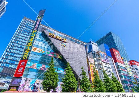Tokyo cityscape in Japan in May. View of Tokyo and Akihabara with fresh greenery... = 17th 114695132