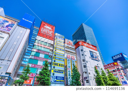 Tokyo cityscape in Japan in May. View of Tokyo and Akihabara with fresh greenery... = 17th 114695136