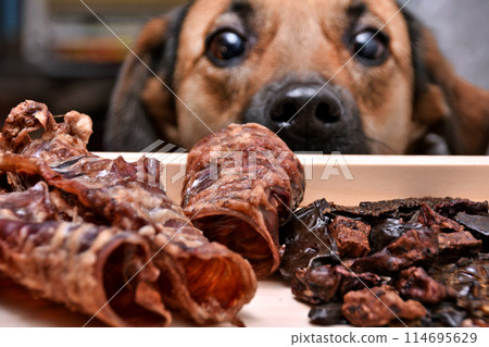 Natural treats for pets. dried meat products to feed and motivate dogs. Dog food Natural treats for pets. dried meat products to feed and motivate dogs. Dog food 114695629