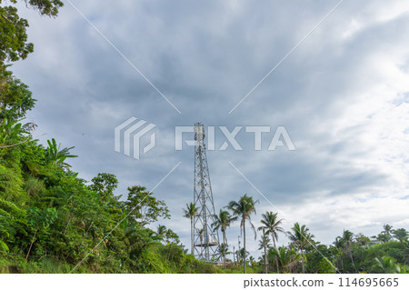 Wireless data station In the rainforest . Cell tower. High speed internet 5g 114695665