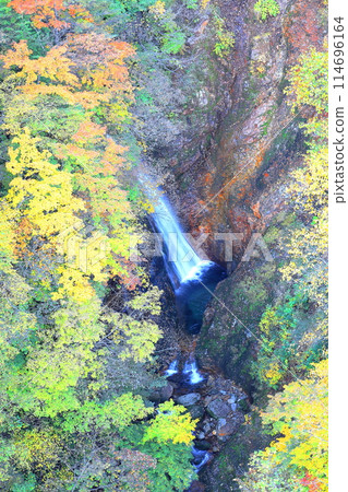 Waterfall and autumn leaves overlooked from Fudosawa Bridge on the Bandai Azuma Skyline 114696164