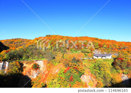Autumn leaves at Fudosawa on the Bandai Azuma Skyline 114696165