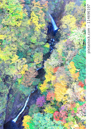 Fudosawa Falls and autumn leaves spreading out below Fudosawa Bridge / Bandai-Azuma Skyline, Fukushima City, Fukushima Prefecture 114696197