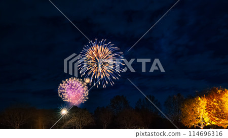 Fireworks and illuminated autumn leaves of ginkgo trees in Tokyo Fireworks and illuminated autumn leaves of ginkgo trees in Tokyo 114696316