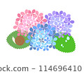 Illustration material: Hydrangea and snail 114696410
