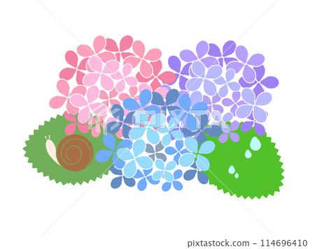 Illustration material: Hydrangea and snail 114696410