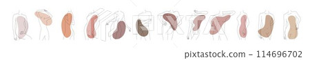 Woman body one single continuous line silhouette set. Vector stock illustration isolated on abstract background for design template beauty and spa calendar, social media. Editable stroke. EPS10 114696702