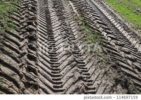 The dirt road is full of tire tracks The dirt road is full of tire tracks 114697159