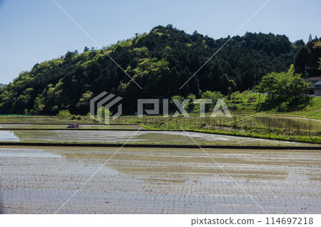 Countryside rice field Countryside rice field 114697218