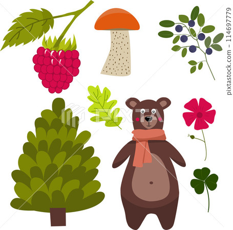 Set of vector hand drawn illustration of bear, tree, mushroom, blueberry, raspberry, leaves and flower on white background. Set of vector hand drawn illustration of bear, tree, mushroom, blueberry, raspberry, leaves and flower on white background. 114697779