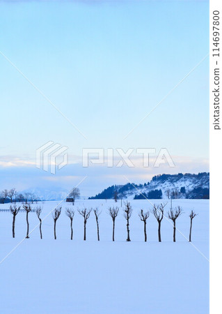 Hasagi of Ikehara and the Three Mountains of Echigo (Niigata Prefecture) 114697800