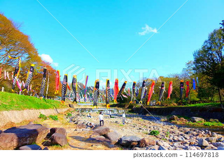 山形市高瀨川鯉魚旗、鯉魚旗、鯉魚旗 114697818